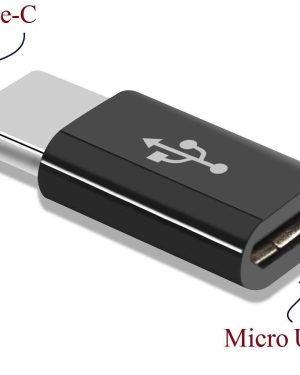 Micro USB to Type C Converter (Black)