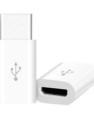 Micro USB to Type C Converter (White)